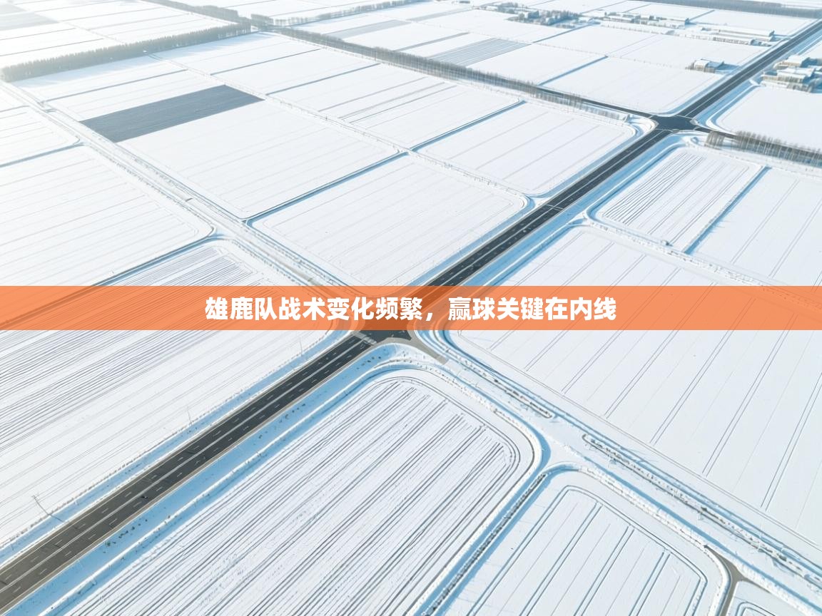 雄鹿队战术变化频繁,赢球关键在内线 第2张