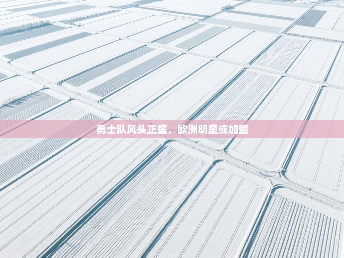 勇士队风头正盛，欧洲明星或加盟  第2张