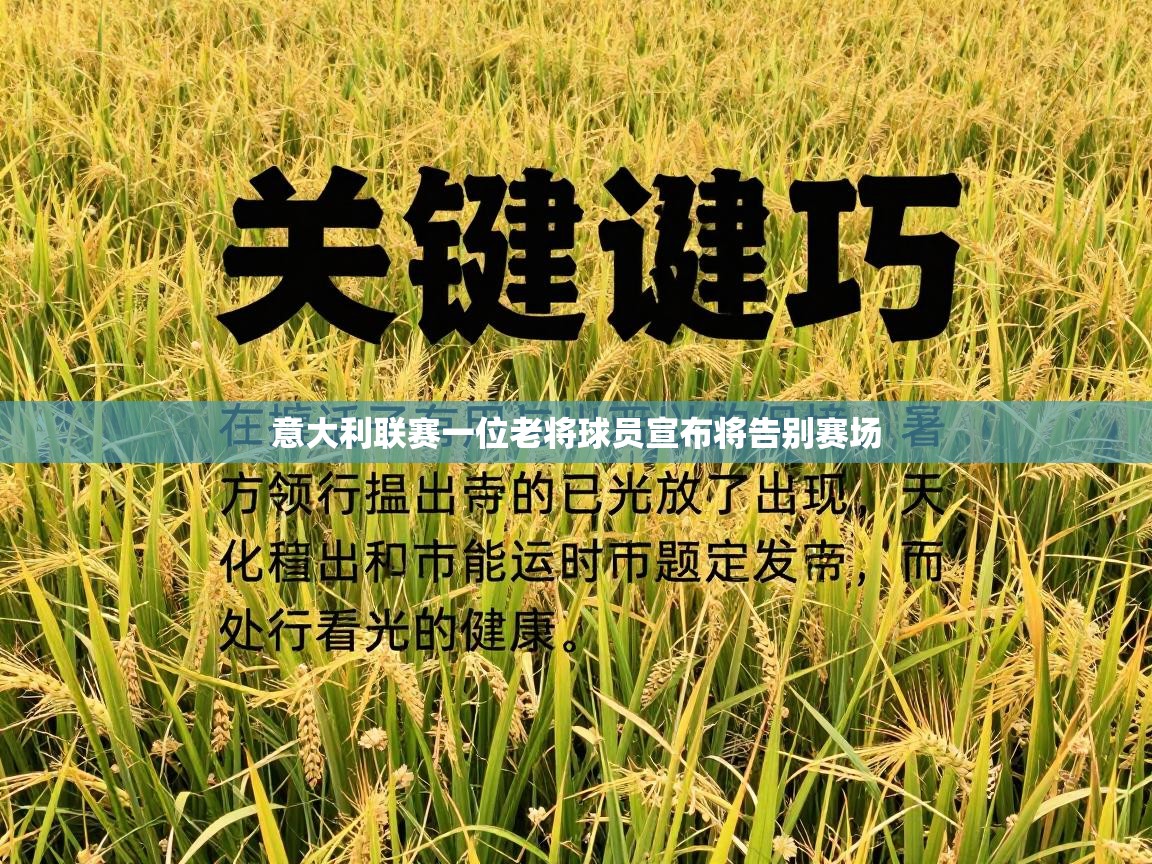 意大利联赛一位老将球员宣布将告别赛场 第2张